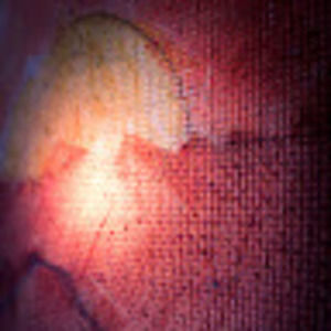 Meet your Posher, Gamerey